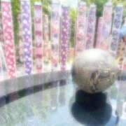 ヒメ日記 2025/07/04 11:47 投稿 まこ しろうとCollection