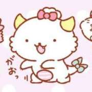 ヒメ日記 2025/08/04 14:37 投稿 まこ しろうとCollection