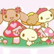 ヒメ日記 2025/10/30 18:57 投稿 まこ しろうとCollection