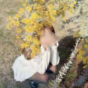 ヒメ日記 2026/03/31 19:30 投稿 さく かりんと池袋