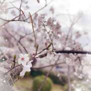 こおり こおりです🤍🧊！ 池袋あられ