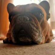 ヒメ日記 2025/03/05 20:16 投稿 佐野つかさ セクシーキャット 神田店