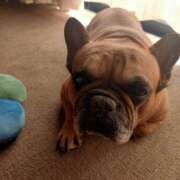 ヒメ日記 2025/05/24 00:36 投稿 佐野つかさ セクシーキャット 神田店