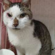 ヒメ日記 2025/05/24 18:25 投稿 佐野つかさ セクシーキャット 神田店