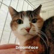 ヒメ日記 2025/05/30 14:28 投稿 佐野つかさ セクシーキャット 神田店