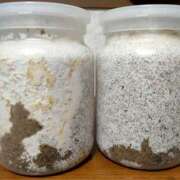 ヒメ日記 2025/05/31 14:58 投稿 佐野つかさ セクシーキャット 神田店