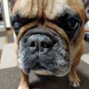 ヒメ日記 2025/06/01 22:20 投稿 佐野つかさ セクシーキャット 神田店