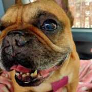 ヒメ日記 2025/06/12 10:35 投稿 佐野つかさ セクシーキャット 神田店