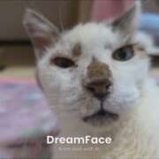 ヒメ日記 2025/08/14 17:24 投稿 佐野つかさ セクシーキャット 神田店