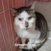 ヒメ日記 2025/09/12 16:11 投稿 佐野つかさ セクシーキャット 神田店