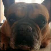 ヒメ日記 2025/09/18 15:47 投稿 佐野つかさ セクシーキャット 神田店