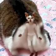 ヒメ日記 2026/01/23 21:26 投稿 佐野つかさ セクシーキャット 神田店