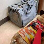 ヒメ日記 2026/01/30 10:20 投稿 佐野つかさ セクシーキャット 神田店