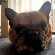 ヒメ日記 2026/02/08 15:51 投稿 佐野つかさ セクシーキャット 神田店