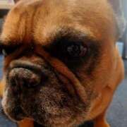 ヒメ日記 2026/03/20 19:17 投稿 佐野つかさ セクシーキャット 神田店