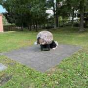 ヒメ日記 2025/09/23 23:00 投稿 えみ 梅田人妻秘密倶楽部