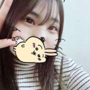 ヒメ日記 2025/03/08 01:05 投稿 るる 西川口ぷよステーション