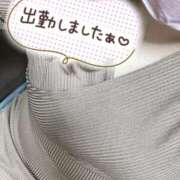 かぐや ありがとう ぽちゃカワ女子専門店 上野御徒町店