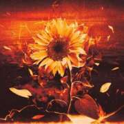 ヒメ日記 2025/08/07 12:14 投稿 あかね 桃李（とうり）