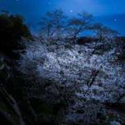 ヒメ日記 2025/11/14 22:54 投稿 あかね 桃李（とうり）