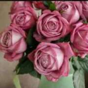 旬花(しゅんか) お久しぶり♡ PLUS梅田店