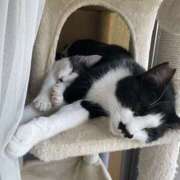 ヒメ日記 2025/03/18 10:10 投稿 うた abc＋