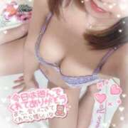 ヒメ日記 2025/03/25 01:38 投稿 うた abc＋