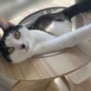 ヒメ日記 2025/04/14 10:22 投稿 うた abc＋