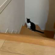 ヒメ日記 2025/04/18 12:59 投稿 うた abc＋