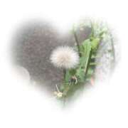 ヒメ日記 2025/04/26 20:53 投稿 うた abc＋