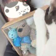 ヒメ日記 2025/04/29 21:22 投稿 うた abc＋