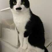 ヒメ日記 2025/05/28 02:00 投稿 うた abc＋