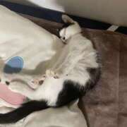 ヒメ日記 2025/05/28 02:30 投稿 うた abc＋