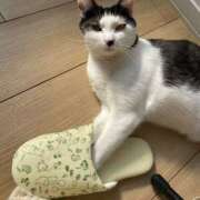 ヒメ日記 2025/06/25 16:51 投稿 うた abc＋