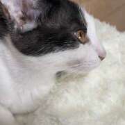 ヒメ日記 2025/08/17 14:50 投稿 うた abc＋