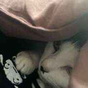 ヒメ日記 2025/11/12 09:13 投稿 うた abc＋