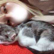 ヒメ日記 2026/04/01 12:40 投稿 うた abc＋