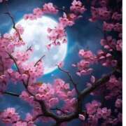 ヒメ日記 2025/04/23 15:52 投稿 梁島美空(やなしまみく) 五十路マダムエクスプレス厚木店(カサブランカグループ)