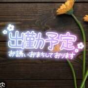 ヒメ日記 2025/05/13 11:10 投稿 梁島美空(やなしまみく) 五十路マダムエクスプレス厚木店(カサブランカグループ)