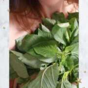 ヒメ日記 2025/07/14 12:50 投稿 しおん 奥鉄オクテツ東京店（デリヘル市場）