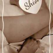 ヒメ日記 2026/03/16 02:10 投稿 しおん 奥鉄オクテツ東京店（デリヘル市場）