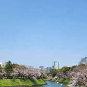 ヒメ日記 2026/03/31 16:50 投稿 しおん 奥鉄オクテツ東京店（デリヘル市場）