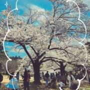 なつみ なつみです♬ 池袋あられ