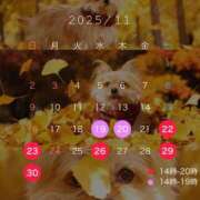 ヒメ日記 2025/11/08 21:43 投稿 早乙女らん＠比類無きS女神様 アナラードライ