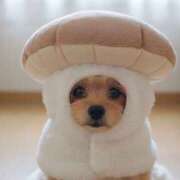 ヒメ日記 2025/12/28 21:22 投稿 早乙女らん＠比類無きS女神様 アナラードライ