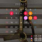 ヒメ日記 2026/02/24 10:44 投稿 早乙女らん＠比類無きS女神様 アナラードライ