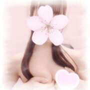 ヒメ日記 2025/04/05 08:15 投稿 しき 京都ホテヘル倶楽部