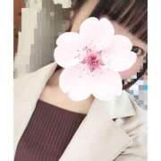 ヒメ日記 2026/04/03 18:36 投稿 しき 京都ホテヘル倶楽部