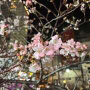 ヒメ日記 2025/04/05 15:21 投稿 ここな Blue Lagoon(ブルーラグーン)