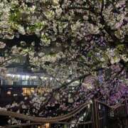 ヒメ日記 2025/04/07 10:24 投稿 れんか Blue Lagoon(ブルーラグーン)